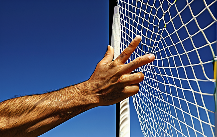 배구 경기 규칙 이해를 위한 비디오 - **"Touch Net" (タッチネット):** One hand is pointing precisely to the top of the net, then swiftly transit...