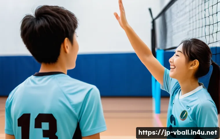 배구 초보를 위한 비디오 강좌 관련 이미지 2