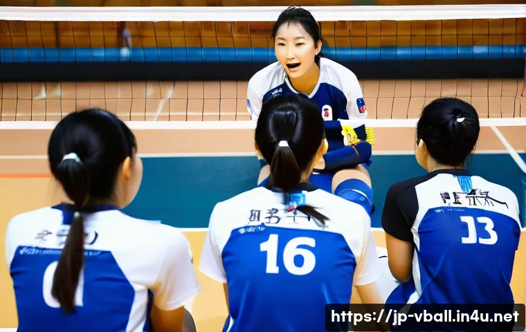 배구 경기에서 승리를 위한 팁 관련 이미지 2