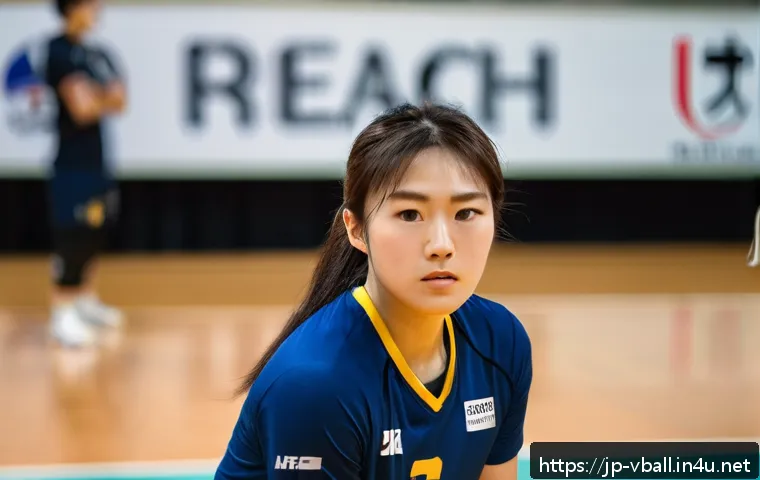 배구 관련 문구 제작 관련 이미지 1