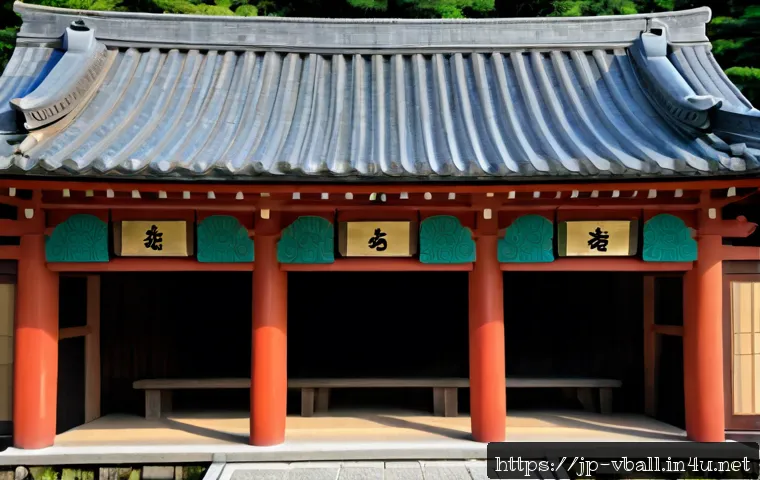 배구화 추천 관련 이미지 2